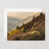 オコナルフティバレーオーバービュー |ノースカロライナ ポストカード (正面/裏面)