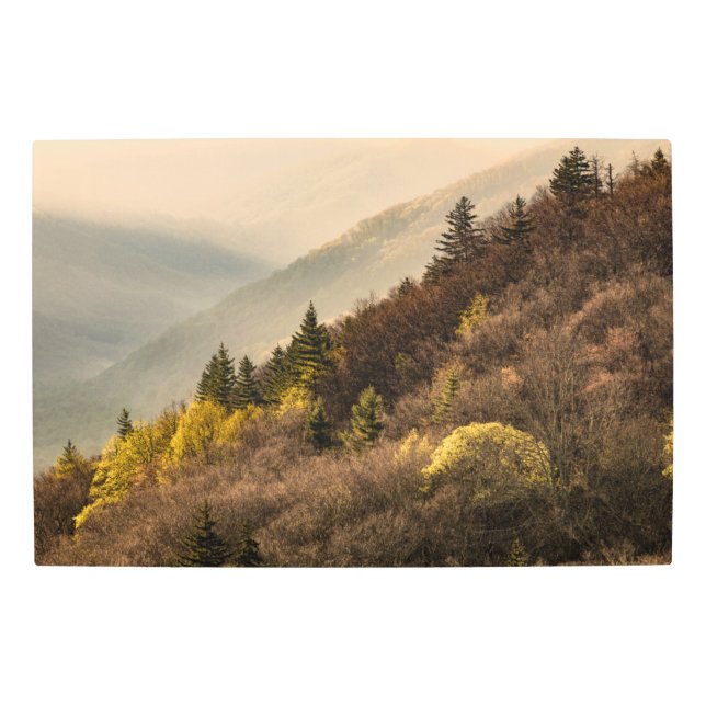 オコナルフティバレーオーバービュー |ノースカロライナ メタルプリント (正面)