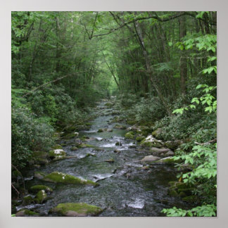 オコンウルフティリバービュー ポスター