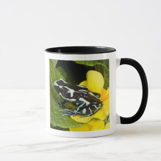 オサ半島コスタリカ マグカップ (右)