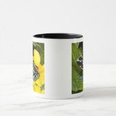 オサ半島コスタリカ マグカップ (中央)