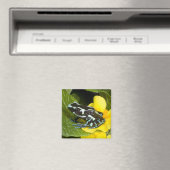 オサ半島コスタリカ マグネット (インサイチュ (食洗機))