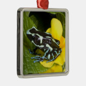 オサ半島コスタリカ メタルオーナメント (右)