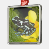 オサ半島コスタリカ メタルオーナメント (左)