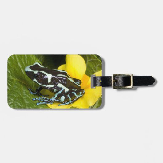 オサ半島コスタリカ ラゲッジタグ (正面横)