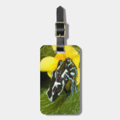 オサ半島コスタリカ ラゲッジタグ (正面縦)