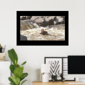 オザクホワイトウォーター塊茎 ポスター (ホームオフィス)