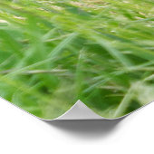 オザラの力と力 ポスター (角)