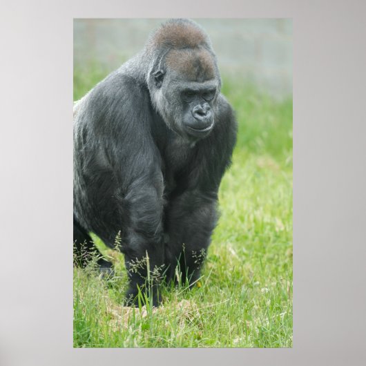 オザラの力と力 ポスター (正面)