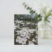 オザークスの春 ポストカード (スタンド正面)