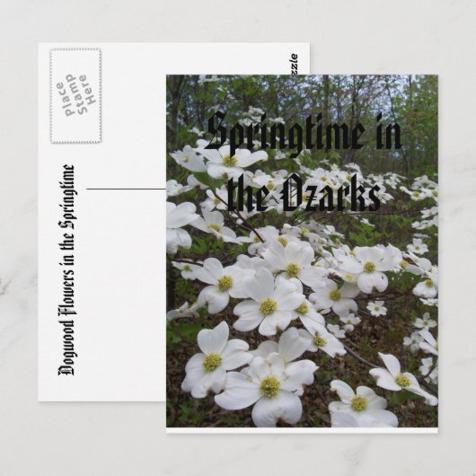 オザークスの春 ポストカード (正面/裏面)