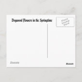 オザークスの春 ポストカード (裏面)