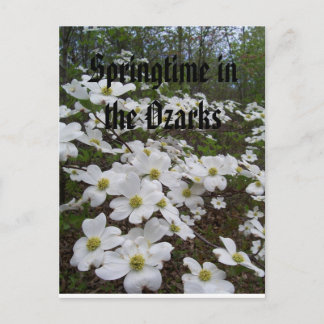 オザークスの春 ポストカード