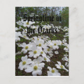 オザークスの春 ポストカード (正面)