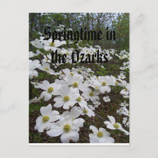 オザークスの春 ポストカード (正面)