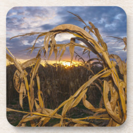 オザークスハーベスト コースター