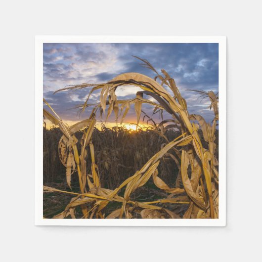 オザークスハーベスト スタンダードカクテルナプキン (正面)