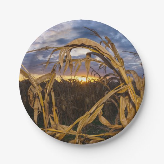 オザークスハーベスト ペーパープレート (正面)