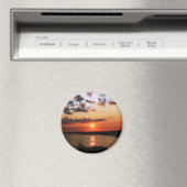 オザーク湖マグネット マグネット (インサイチュ (食洗機))