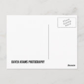 オザーク湖 ポストカード (裏面)