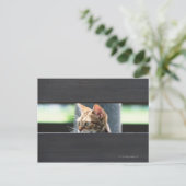 オシカート4 ポストカード (スタンド正面)