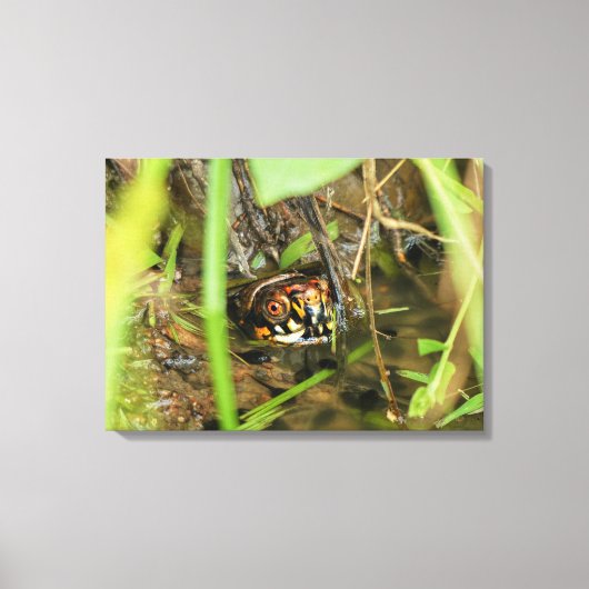 オシガメとタマガモ キャンバスプリント (正面)