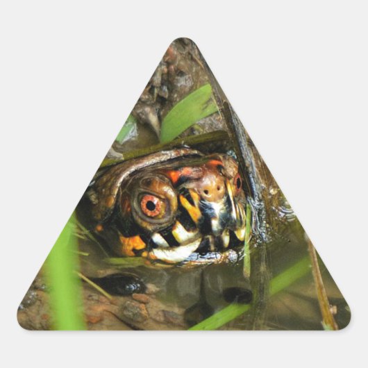 オシガメとタマガモ 三角形シール (正面)