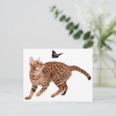 オシキャット & バタフライ ポストカード (スタンド正面)