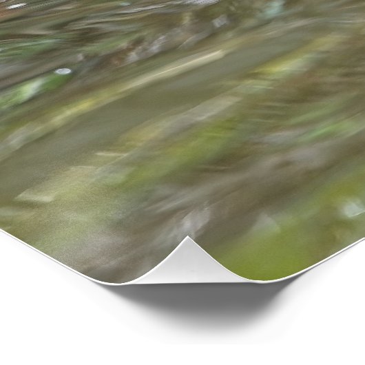 オシドリが歩く ポスター (コーナー)