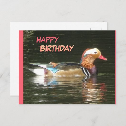オシドリのハッピーバースデーポストカード ポストカード (正面/裏面)