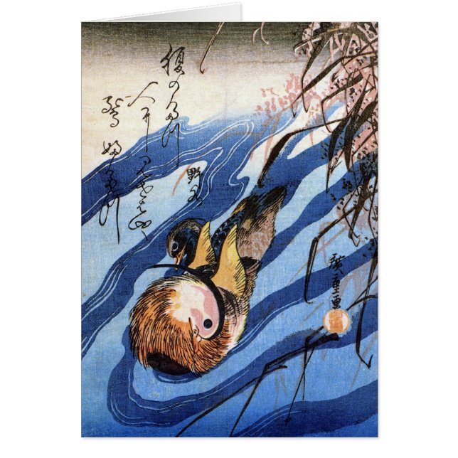オシドリ、Hiroshige (正面)