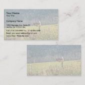 オジカ 名刺 (正面/裏面)