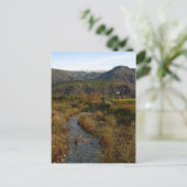 オジャイバレー ポストカード (スタンド正面)