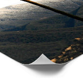 オジャイパーム ポスター (角)