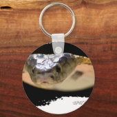 オジャトロピティングコブラ01 キーホルダー (正面)