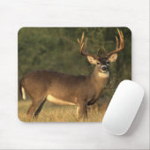 オジロジカマウス マウスパッド (マウス)