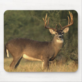 オジロジカマウス マウスパッド