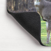 オジロジカマウス マウスパッド (コーナー)