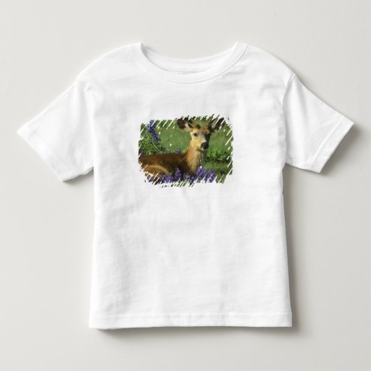 オジロジカ トドラーTシャツ (正面)