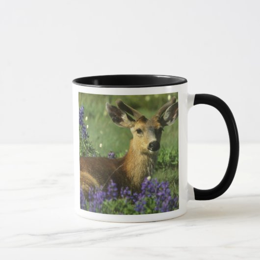オジロジカ, Odocoileus hemionus マグカップ (右)