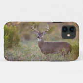 オジロジカ(Odocoileus virginianus) オス 2 Case-Mate iPhoneケース (裏面(横))