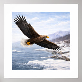 オジロワシ(Haliaeetus albicilla)– ポスター