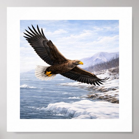 オジロワシ（Haliaeetus albicilla）–  ポスター (正面)