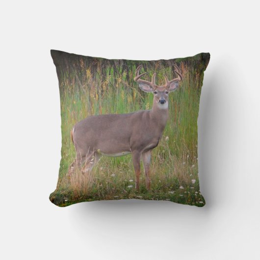 オジロ鹿シカのポートレートの枕 クッション (正面)