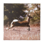 オジロ鹿シカのランニング タイル (正面)