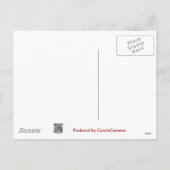 オジロ鹿シカの幸せな休日項目 シーズンポストカード (裏面)