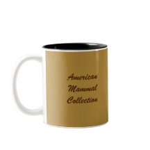 オジロ鹿シカの影