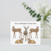 オジロ鹿シカの招待状 招待状 (スタンド正面)