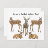 オジロ鹿シカの招待状 招待状 (正面/裏面)