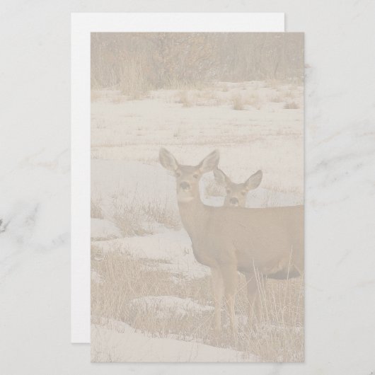 オジロ鹿シカの文房具 便箋 (正面/裏面)
